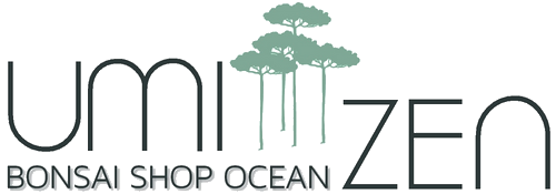 Umi Zen Bonsai logo
