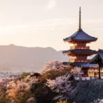 Comment le Taoïsme, le Zen et le Bouddhisme ont façonné l’art du bonsai ?