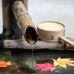 Et si le vrai secret du bonsai était en fait d’apprendre à ne rien faire ?