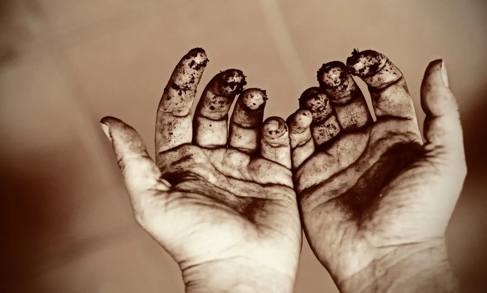 Manifeste de bonsai pour les mains qui hésitent, Umi Zen Blog