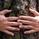 Faire du bonsai est-ce essayer de contrôler l’arbre et de dominer la nature ?