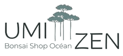 Umi Zen Bonsai le Blog