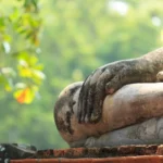 Le bonsai est-il réservé à ceux qui méditent en lotus et vivent loin du stress ?