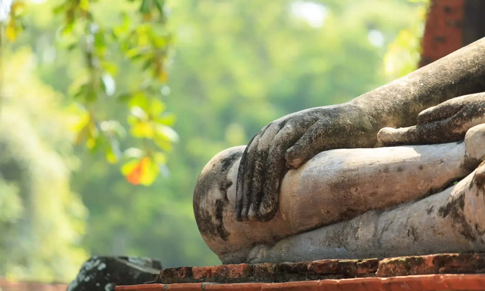 Le bonsai est-il réservé à ceux qui méditent en lotus et vivent loin du stress ?