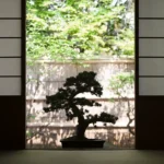 Les styles japonais des bonsai : carcan figé ou transgression nécessaire ?