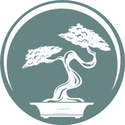logo blog bonsai de la boutique umi zen bonsai shop