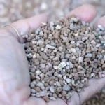 Quel substrat choisir pour mon bonsai, et pourquoi ?